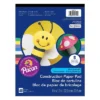 Pacon 9" X 12" Construction Paper Assorted Colors 48 Sheets/Pack 6/Pack (PAC104612)