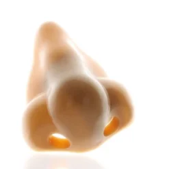 Fun Express Nose Pencil Sharpener 12 Pieces 6 Fun Express Nose Pencil Sharpener 12 Pieces -Creative Office Outlet Store GUEST 67eae323 fcef 4b5a a089 01a365cee3ec