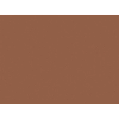 Pacon Tru-Ray Construction Paper Warm Brown 18" X 24" 50 Sheets Per Pack 2 Packs (PAC103089-2) 1 Pacon Tru-Ray Construction Paper Warm Brown 18" X 24" 50 Sheets Per Pack 2 Packs (PAC103089-2)