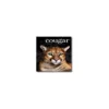 Domtar Cougar 11" X 17" 60 Lbs. Digital Smooth Laser Paper White 2500/Case 2836WCASE