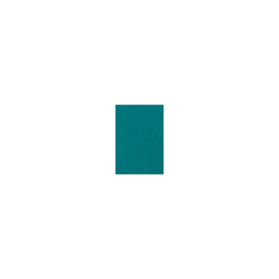 LUX 100 Lb. Cardstock Paper 11" X 17" Teal 500 Sheets/Pack (1117-C-25-500) 1 LUX 100 Lb. Cardstock Paper 11" X 17" Teal 500 Sheets/Pack (1117-C-25-500)