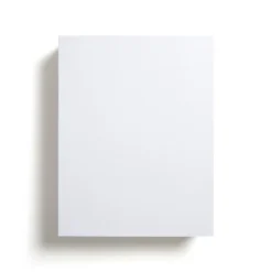 MyOfficeInnovations Cardstock Paper 110 Lbs 8.5" X 11" White 250/Pack (49701) 490887